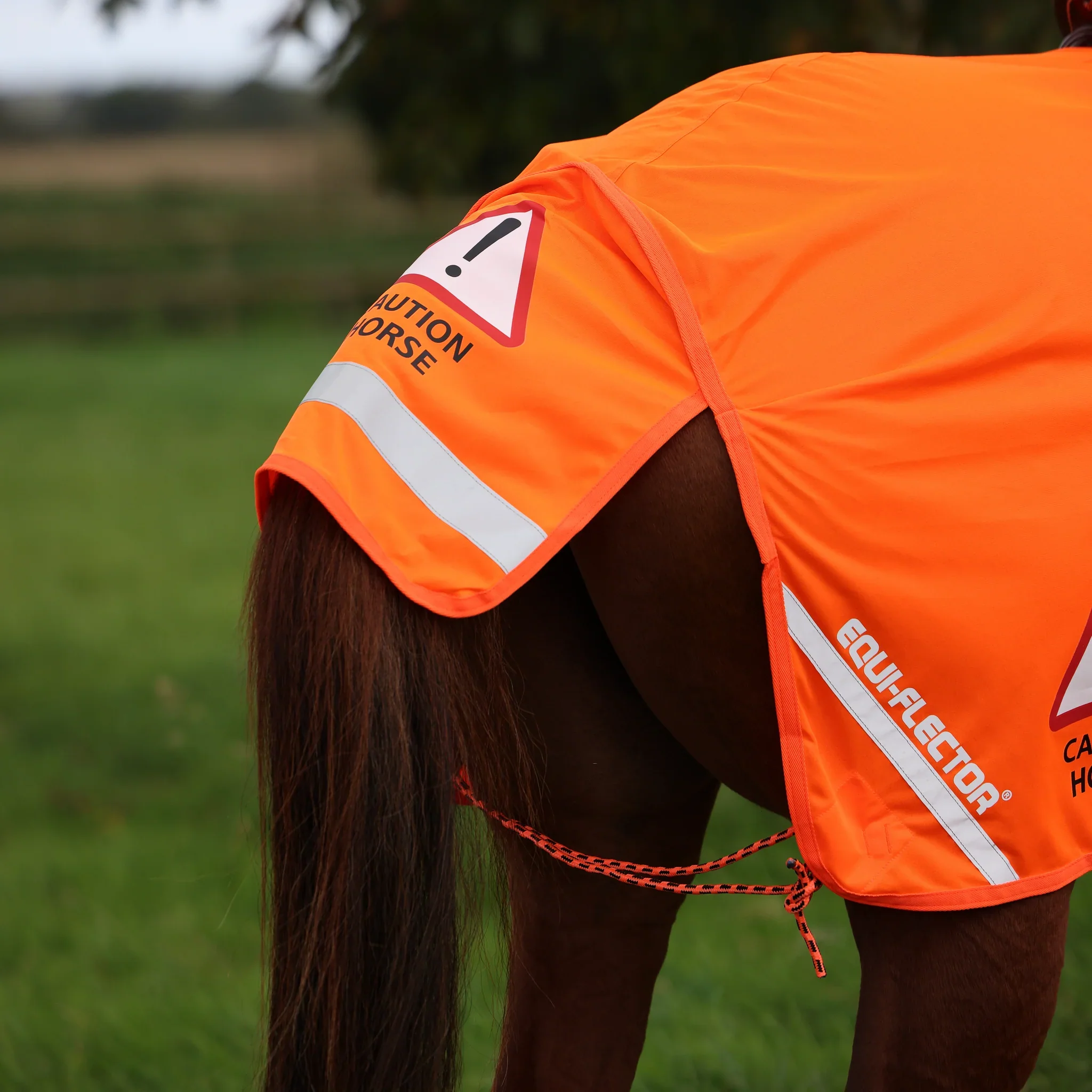 Shires EQUI-FLECTOR Mesh Exercise Sheet - Image 2
