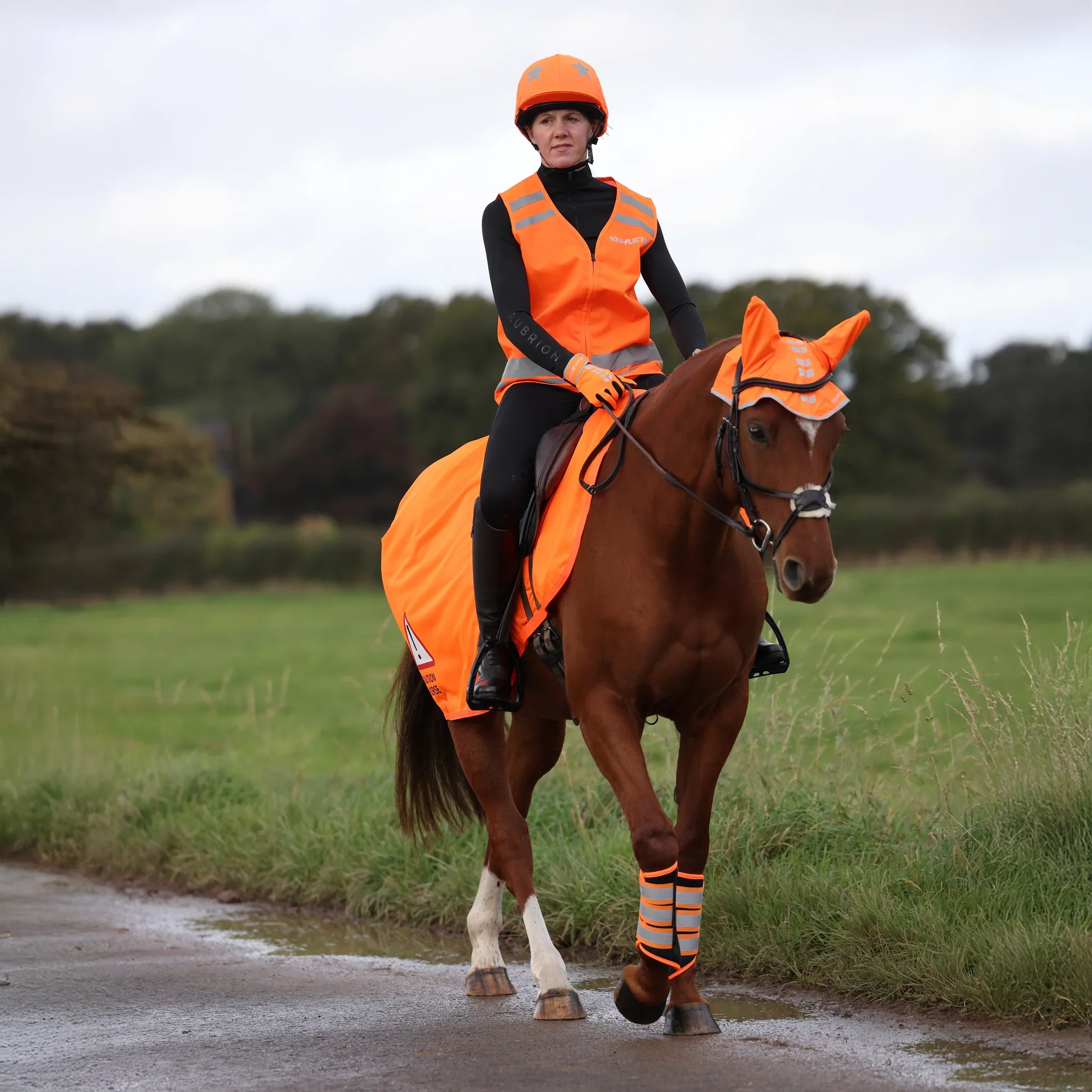 Shires EQUI-FLECTOR Mesh Exercise Sheet - Image 4