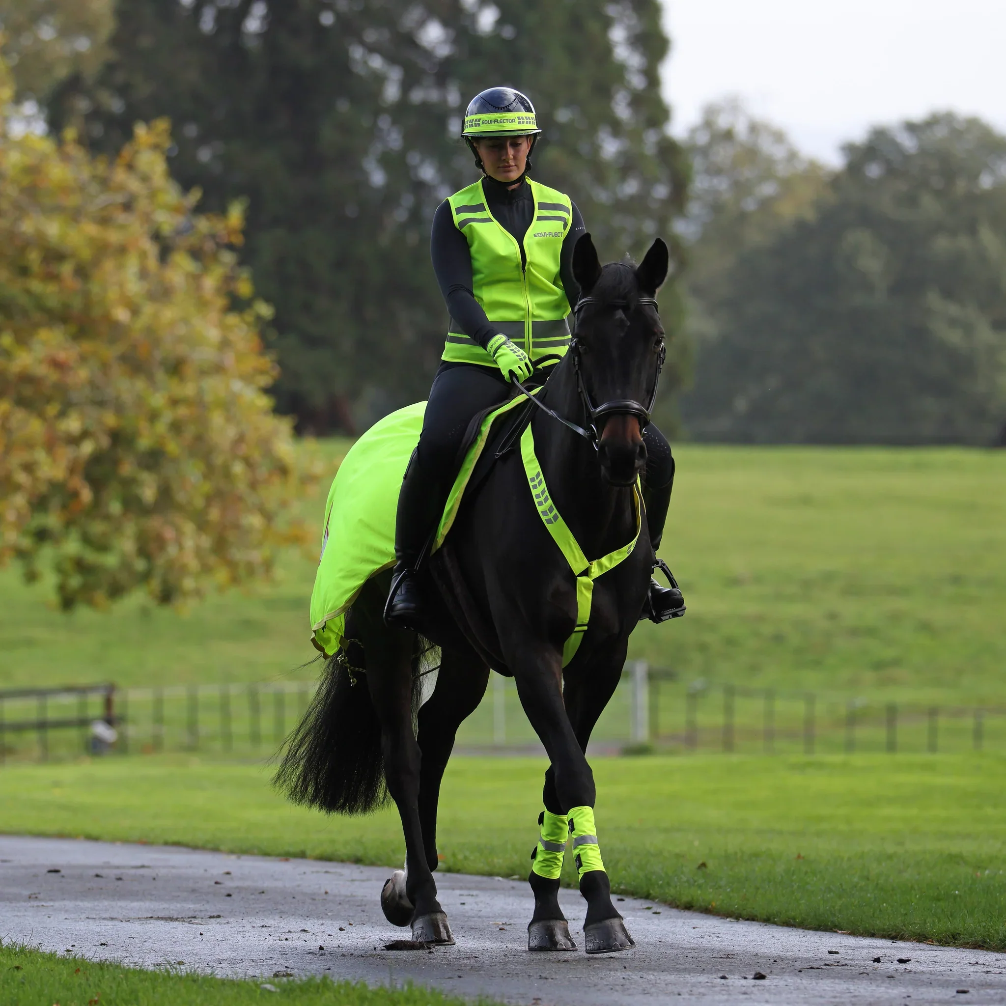 Shires EQUI-FLECTOR Mesh Exercise Sheet - Image 7