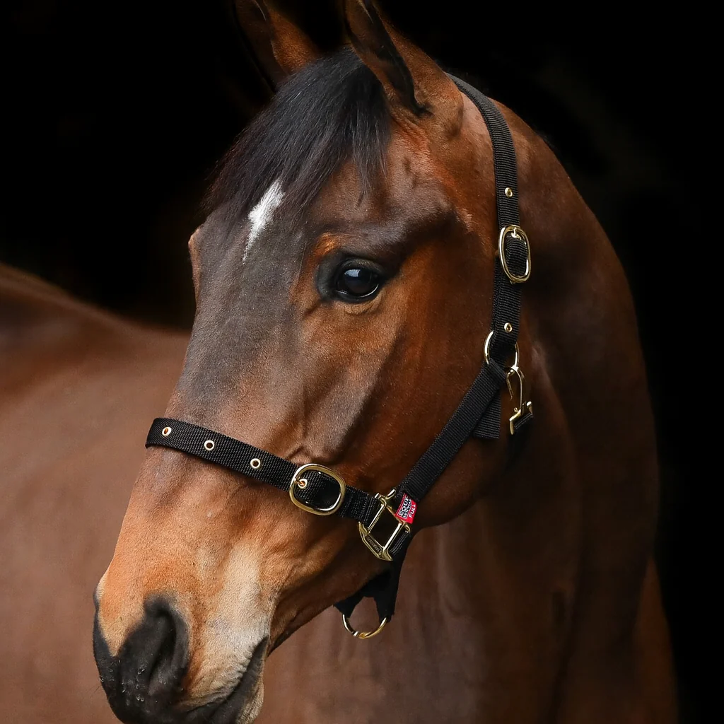 Equi-Sential Nylon Clip Headcollar