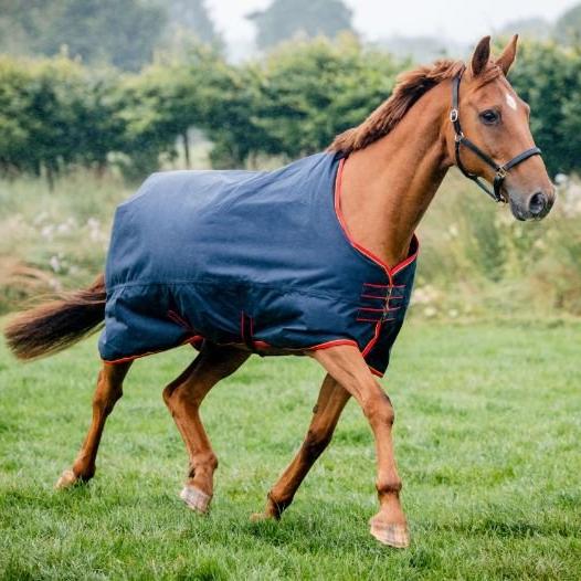Equi-Sential Standard 200g Medium Turnout Rug - Image 2