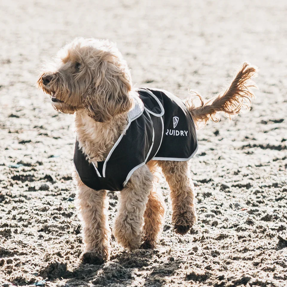 EQUIDRY Dog Coat - Image 8
