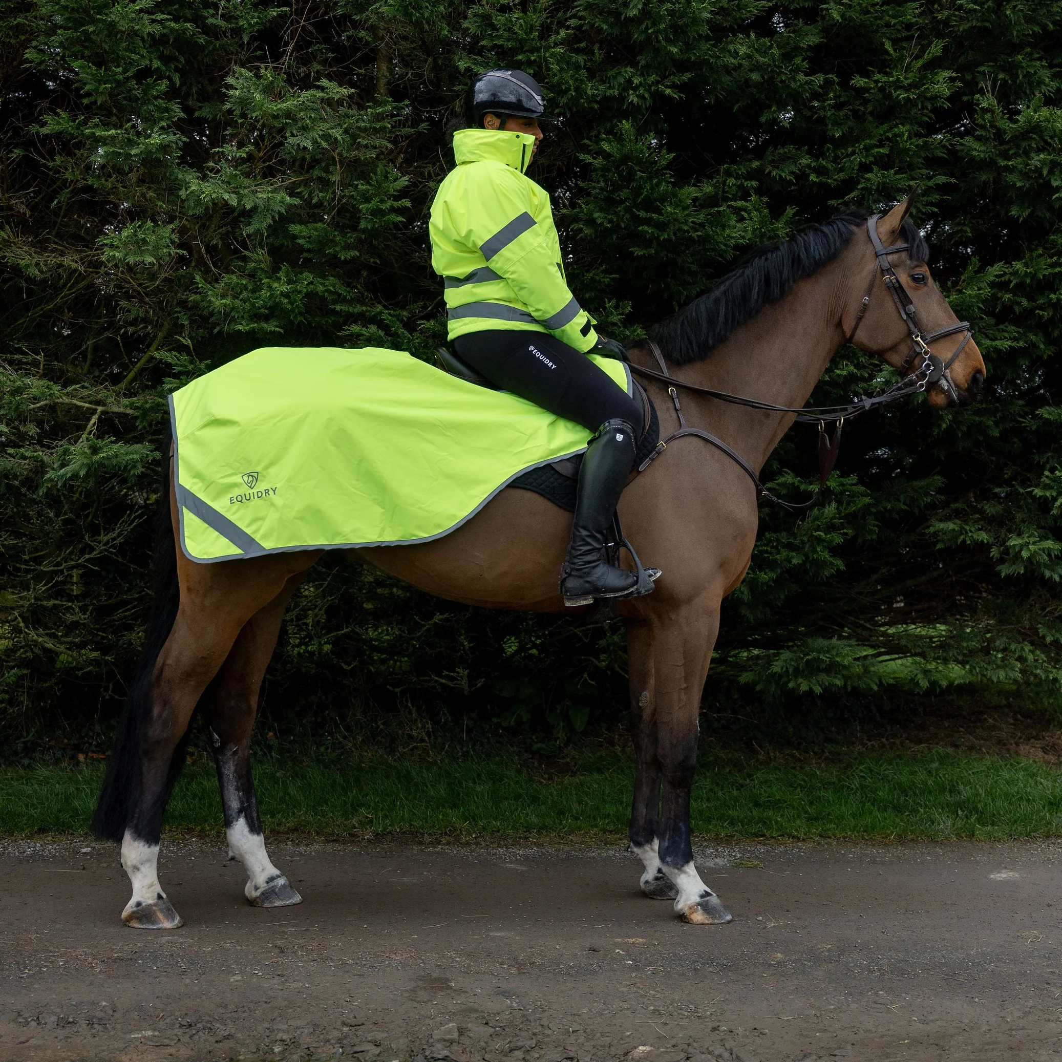 EQUIDRY Exercise Sheet Lite - Image 16