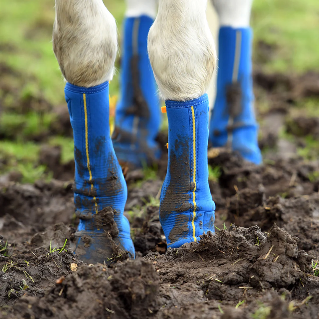 Equilibrium Equi-Chaps Close Contact Chaps - Image 4