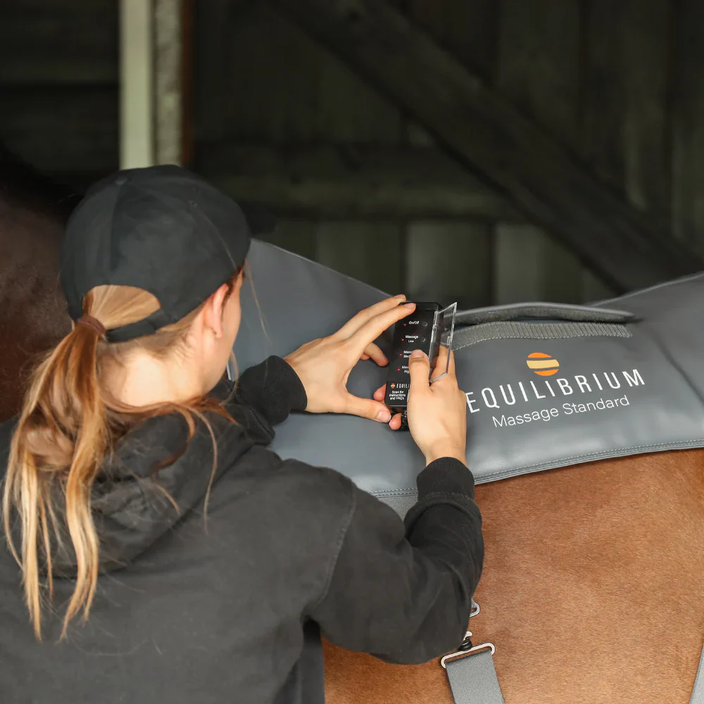 Equilibrium Massage Pad - Image 2