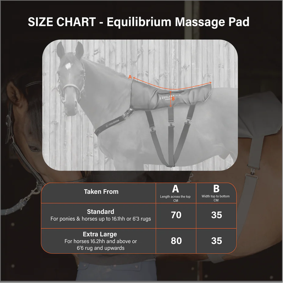 Equilibrium Massage Pad - Image 3