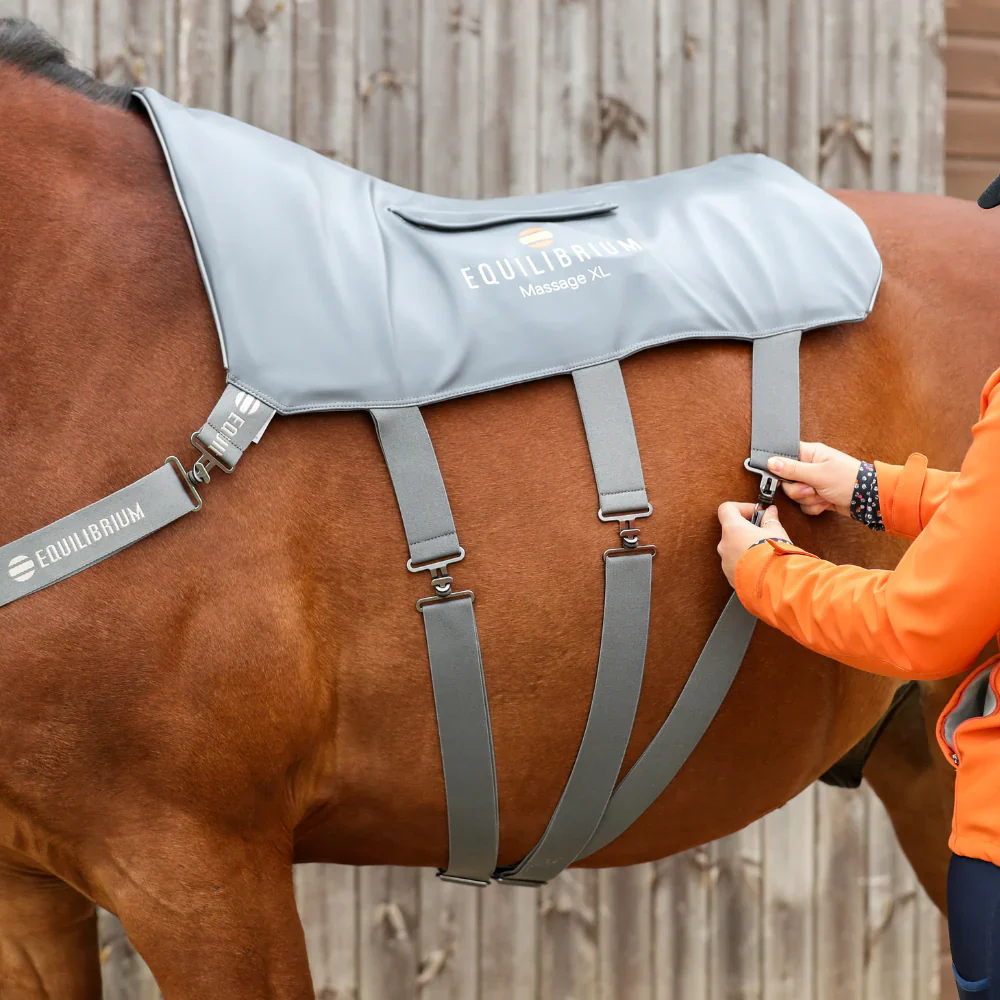 Equilibrium Massage Pad - Image 5