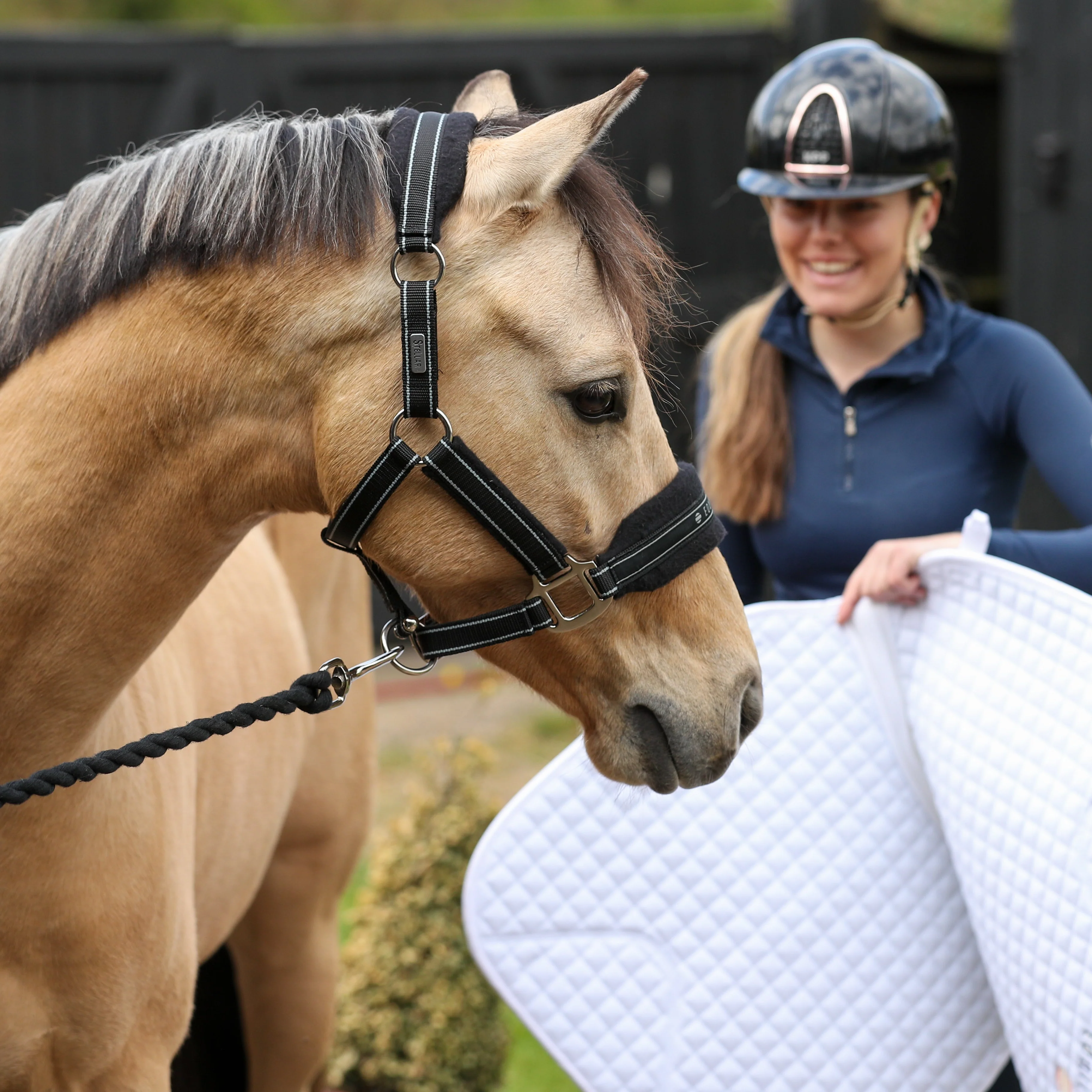 Equilibrium Stellar Style Headcollar - Image 2