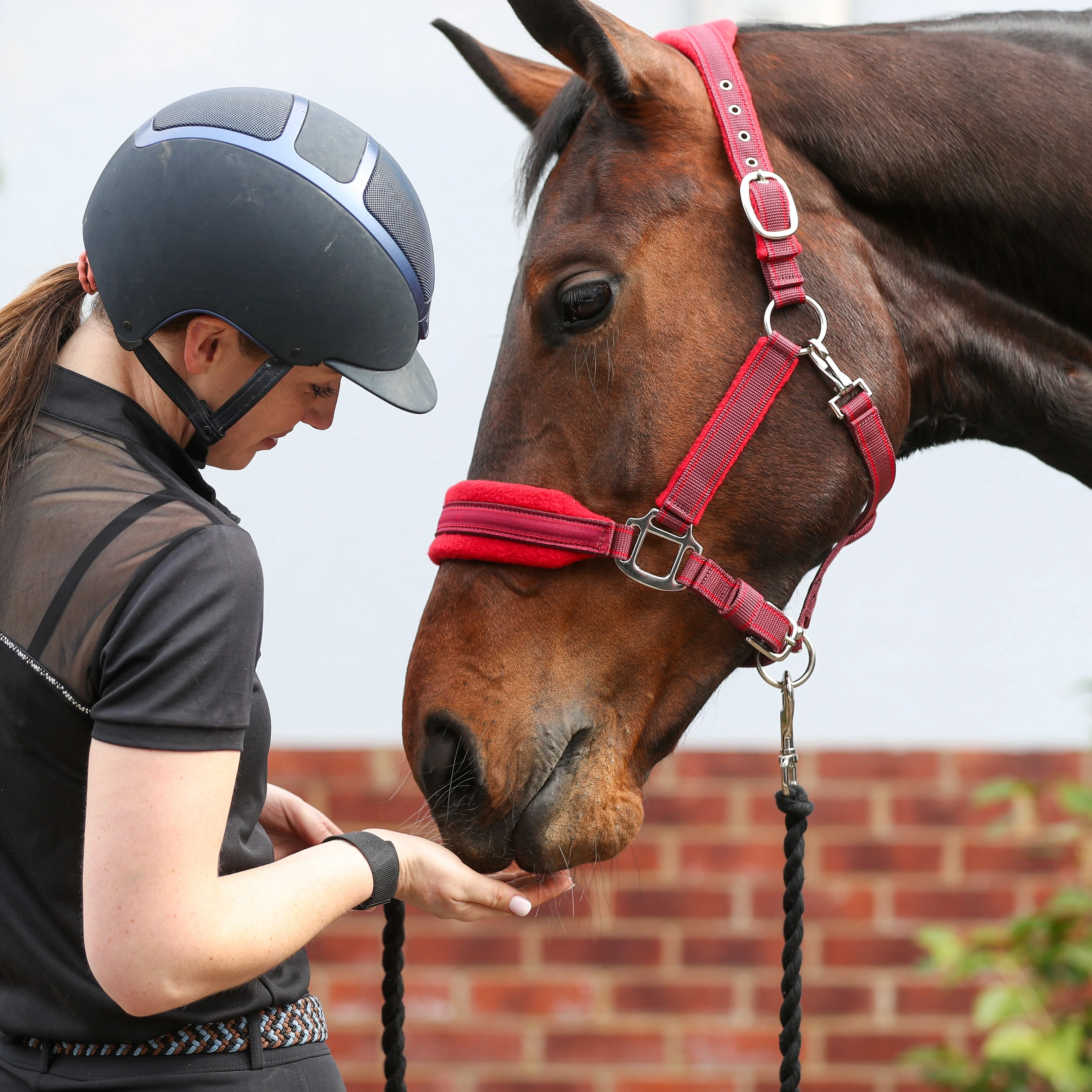 Equilibrium Stellar Style Headcollar - Image 9