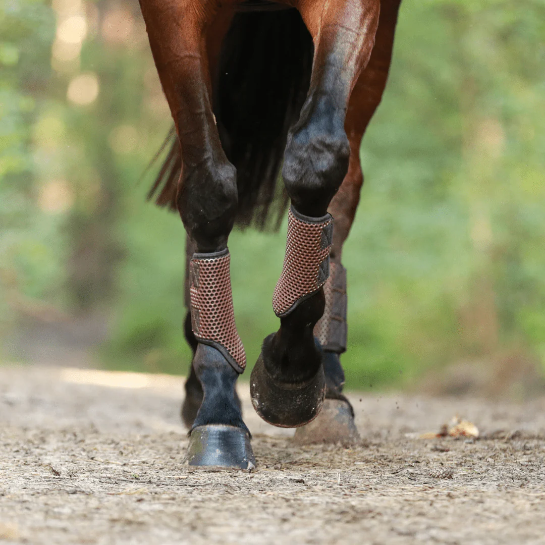 Equilibrium Tri Zone Brushing Boots - Image 17