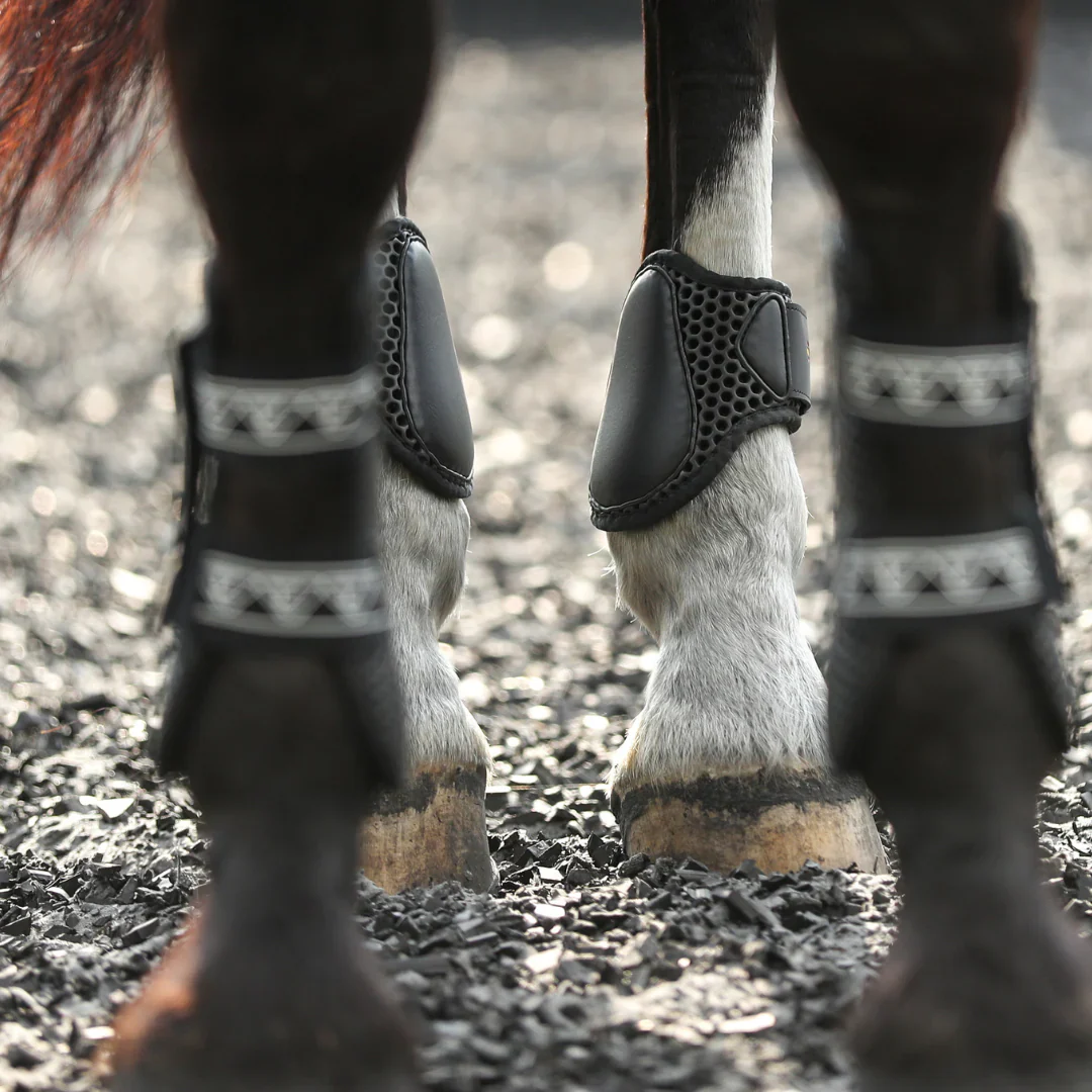 Equilibrium Tri-Zone Fetlock Boots - Image 2