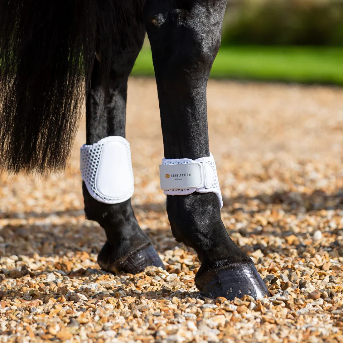 Equilibrium Tri-Zone Fetlock Boots - Image 4