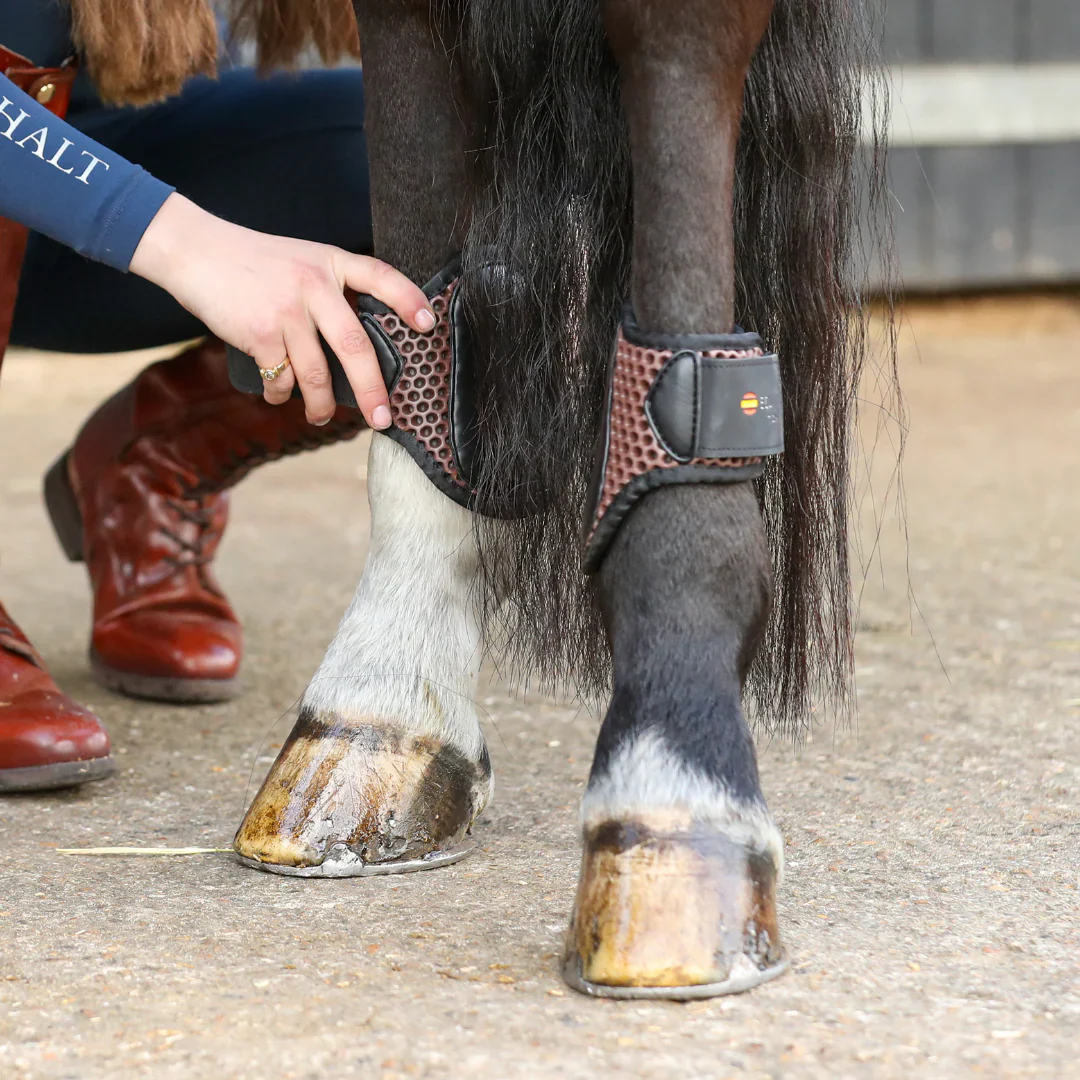 Equilibrium Tri-Zone Fetlock Boots - Image 6