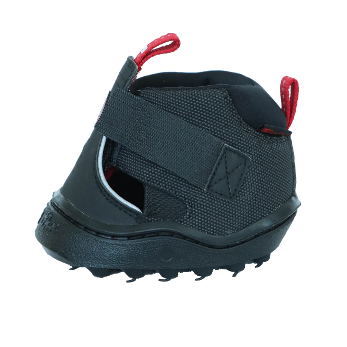 Equine Fusion Slim Trekking Shoe