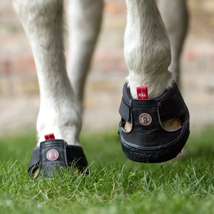 Equine Fusion Slim Trekking Shoe - Image 5