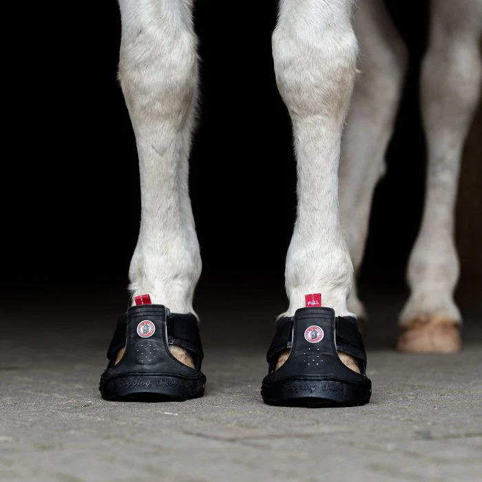 Equine Fusion Slim Trekking Shoe - Image 6