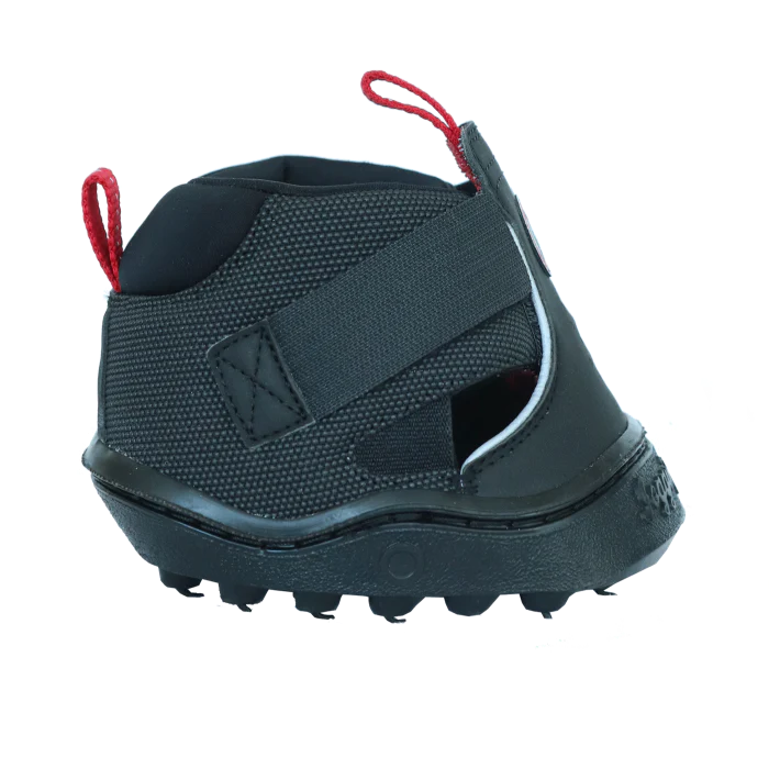 Equine Fusion Trekking Shoe - Image 4