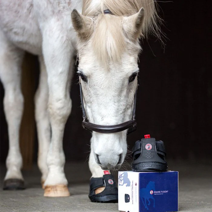 Equine Fusion Trekking Shoe - Image 6