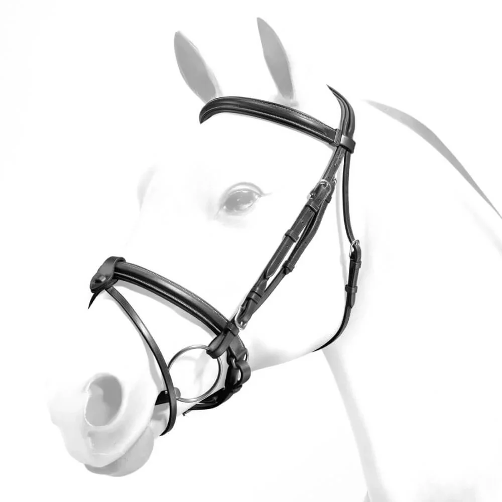 Equipe Rolled Browband Flash Bridle with Silver Fittings - Image 2