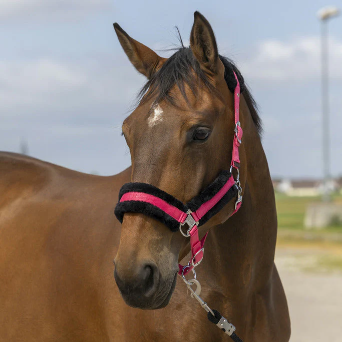 Equitheme Nylon Mouton Headcollar - Image 4