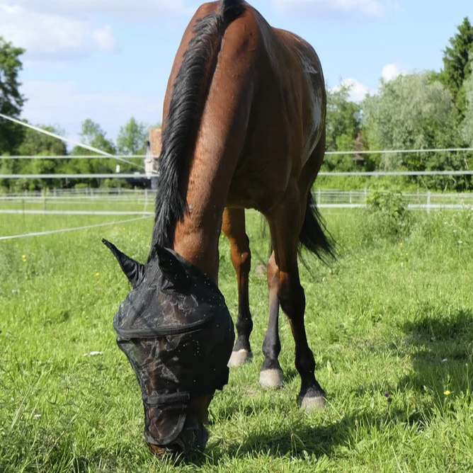 Equitheme Protec Fly Mask - Image 2