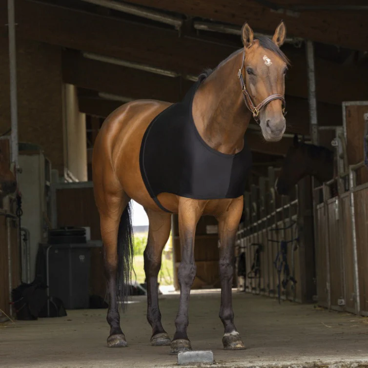 Equitheme Shoulder Protection - Image 2