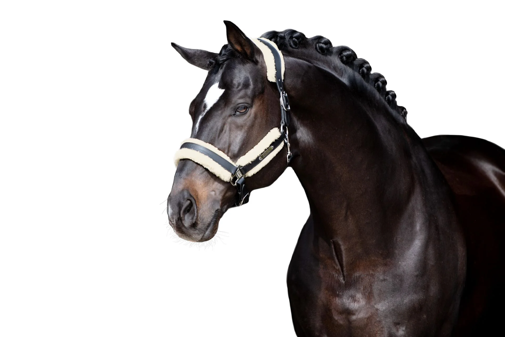 Eskadron Faux Fur Set Stallion Padding
