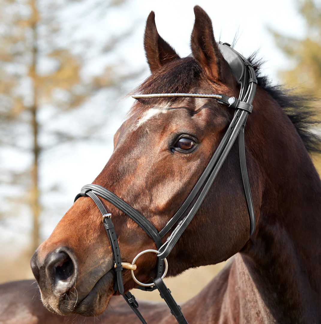Finesse Zorro Flash Bridle