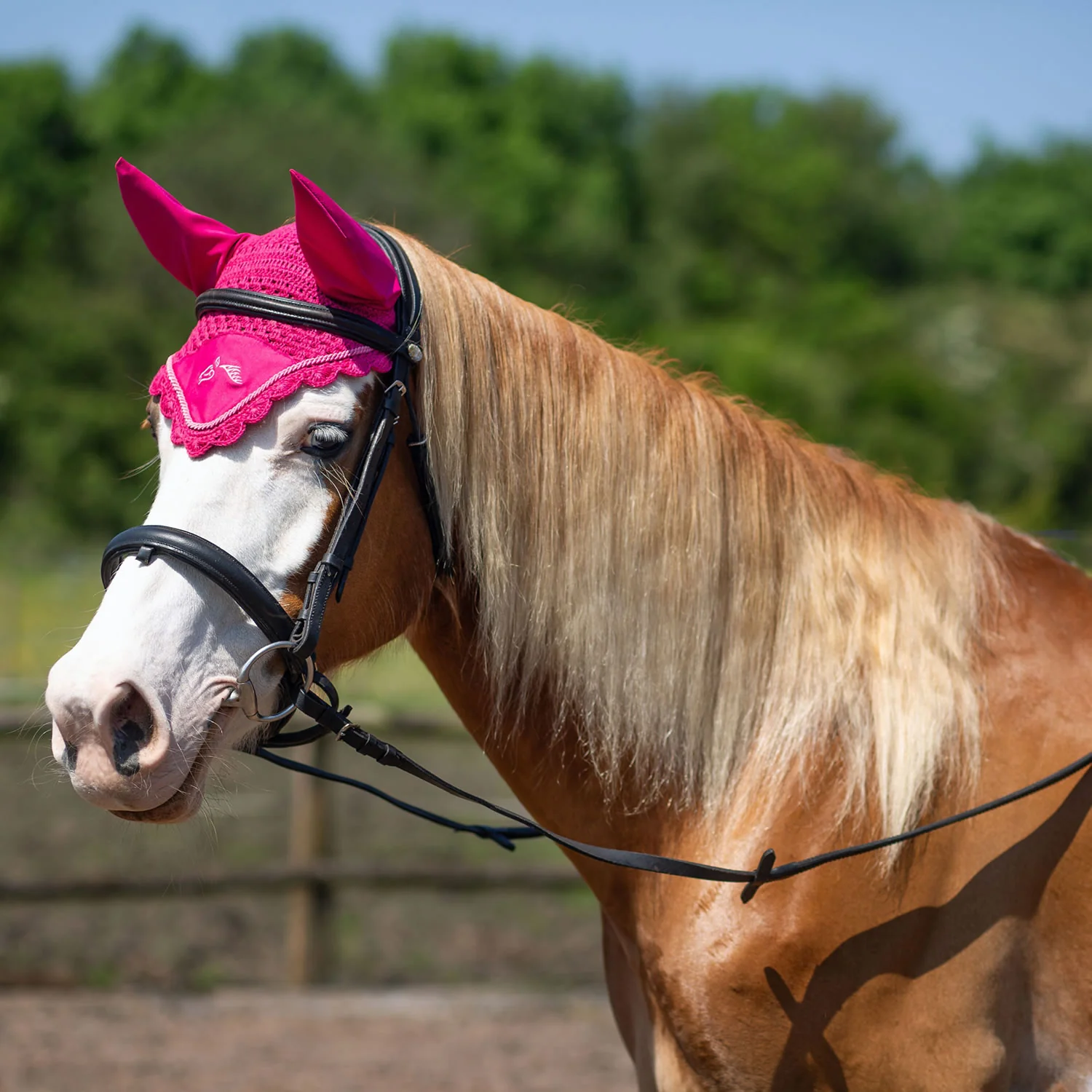 Gallop Classic Fly Veil