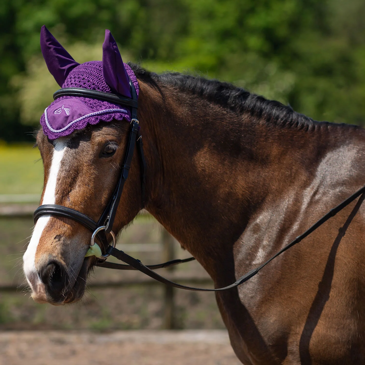 Gallop Classic Fly Veil - Image 4