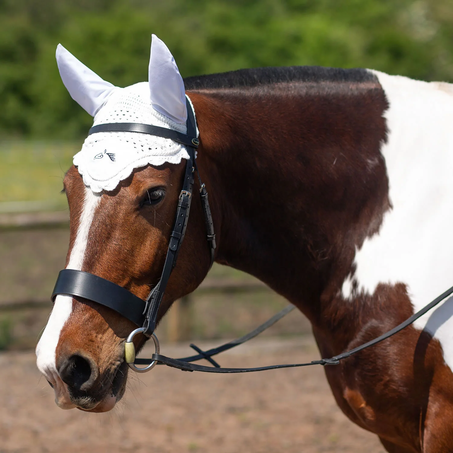 Gallop Classic Fly Veil - Image 5