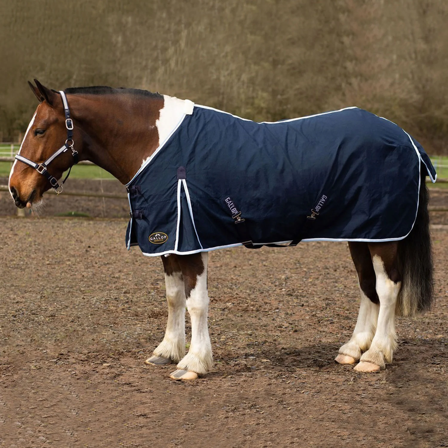 Gallop Summer Sheet - Image 2