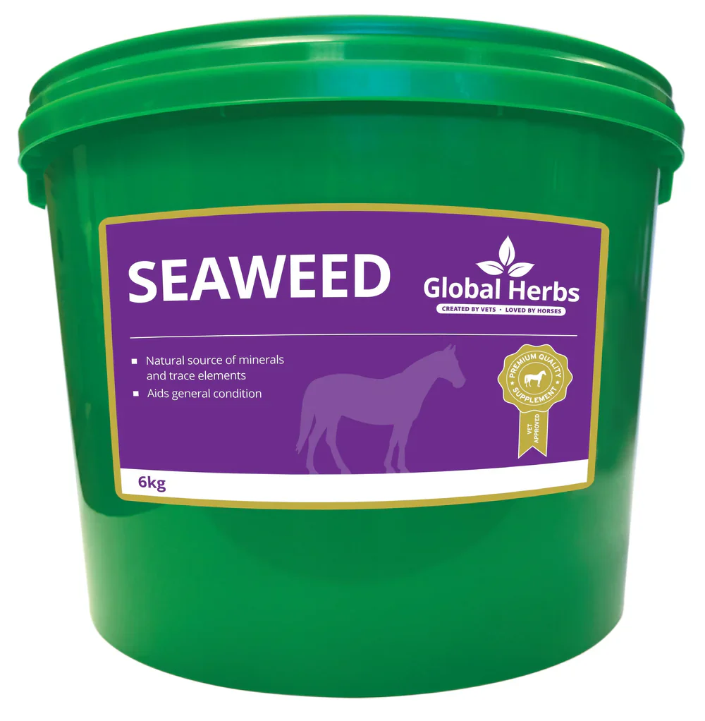 Global Herbs Seaweed - Image 2