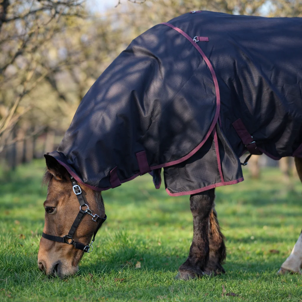 GS Equestrian 100g Detachable Neck Turnout Rug - Image 8