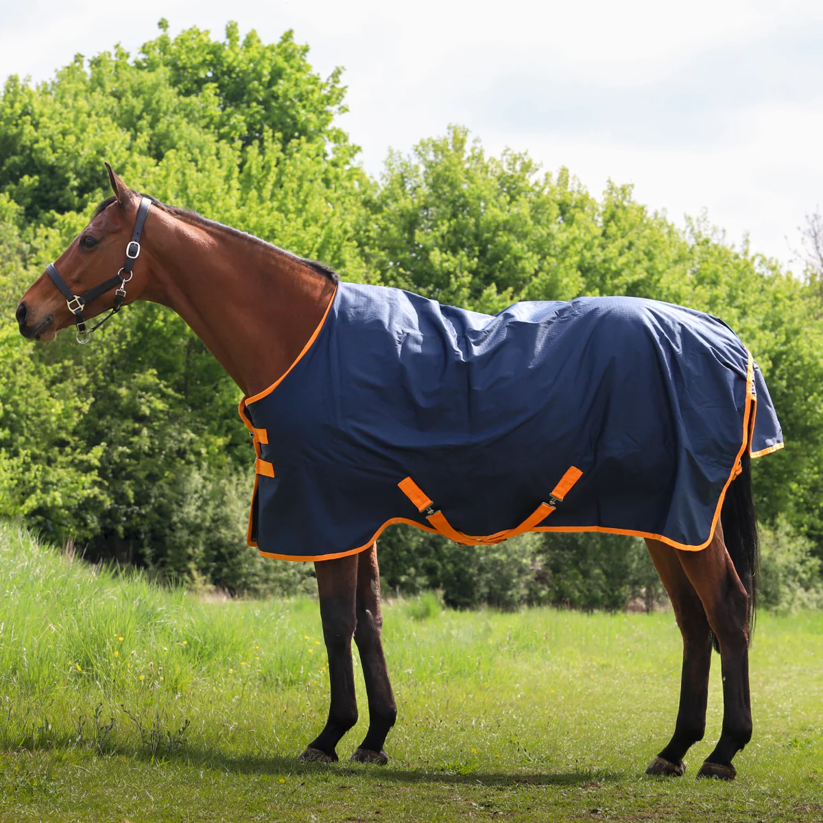 GS Equestrian 600D Waterproof Turnout Rug 0g