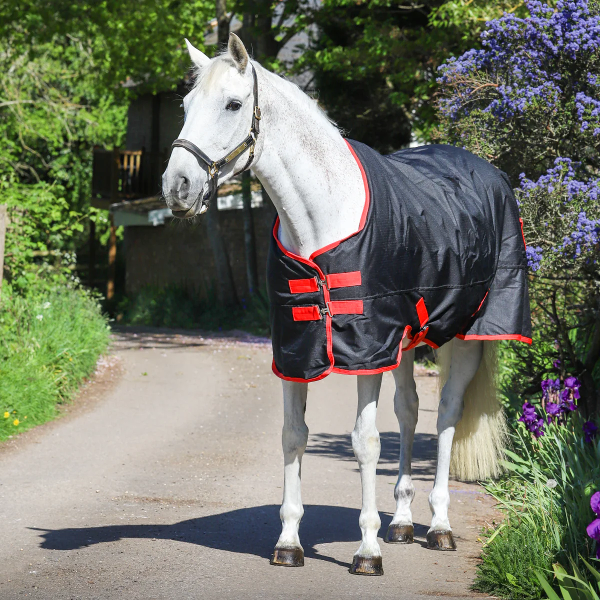 GS Equestrian 600D Waterproof Turnout Rug 0g - Image 10