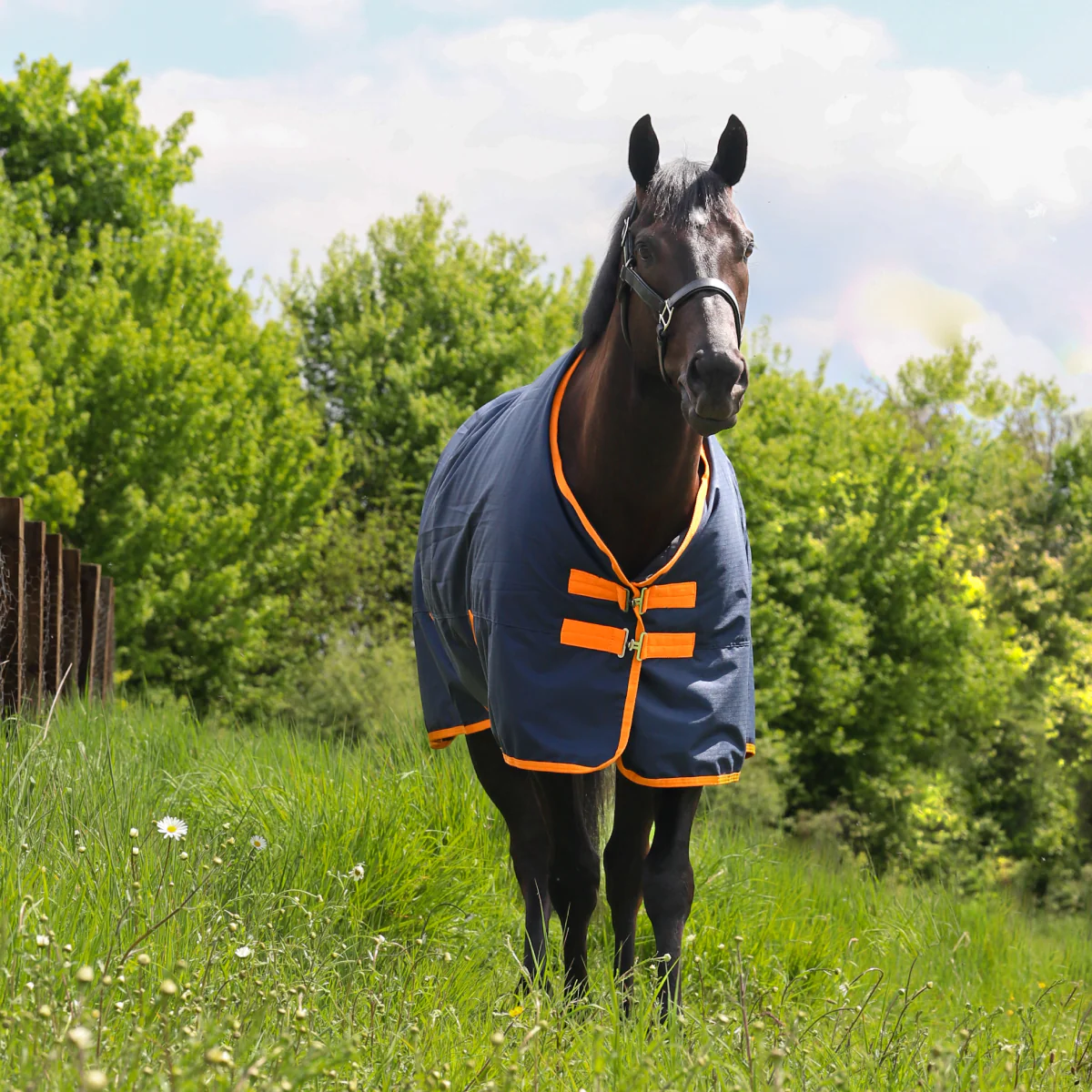 GS Equestrian 600D Waterproof Turnout Rug 0g - Image 2
