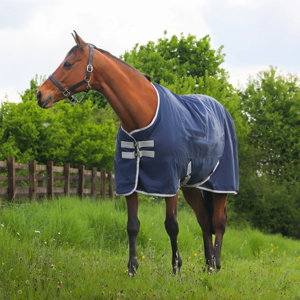 GS Equestrian 600D Waterproof Turnout Rug 0g - Image 4