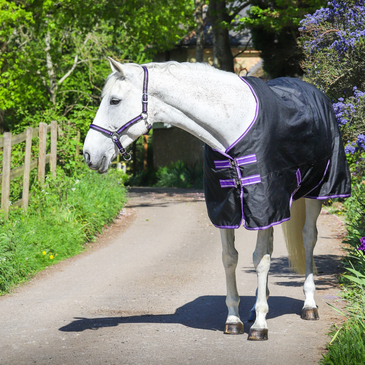 GS Equestrian 600D Waterproof Turnout Rug 0g - Image 8