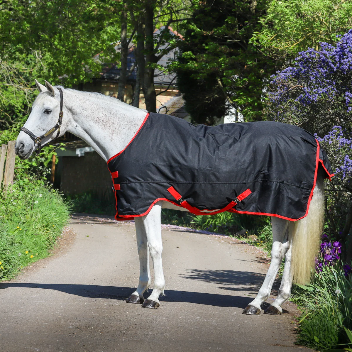 GS Equestrian 600D Waterproof Turnout Rug 100g - Image 6