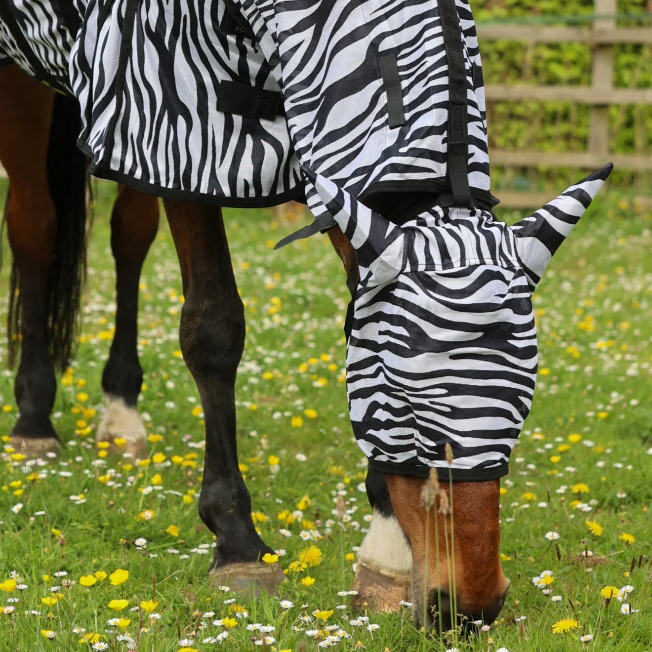 GS Equestrian Zebra Print Combo Neck Fly Rug - Image 4