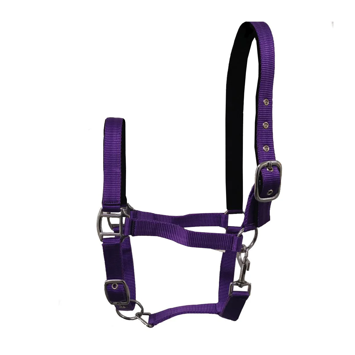 GS Equestrian Padded Head Collar - Image 15