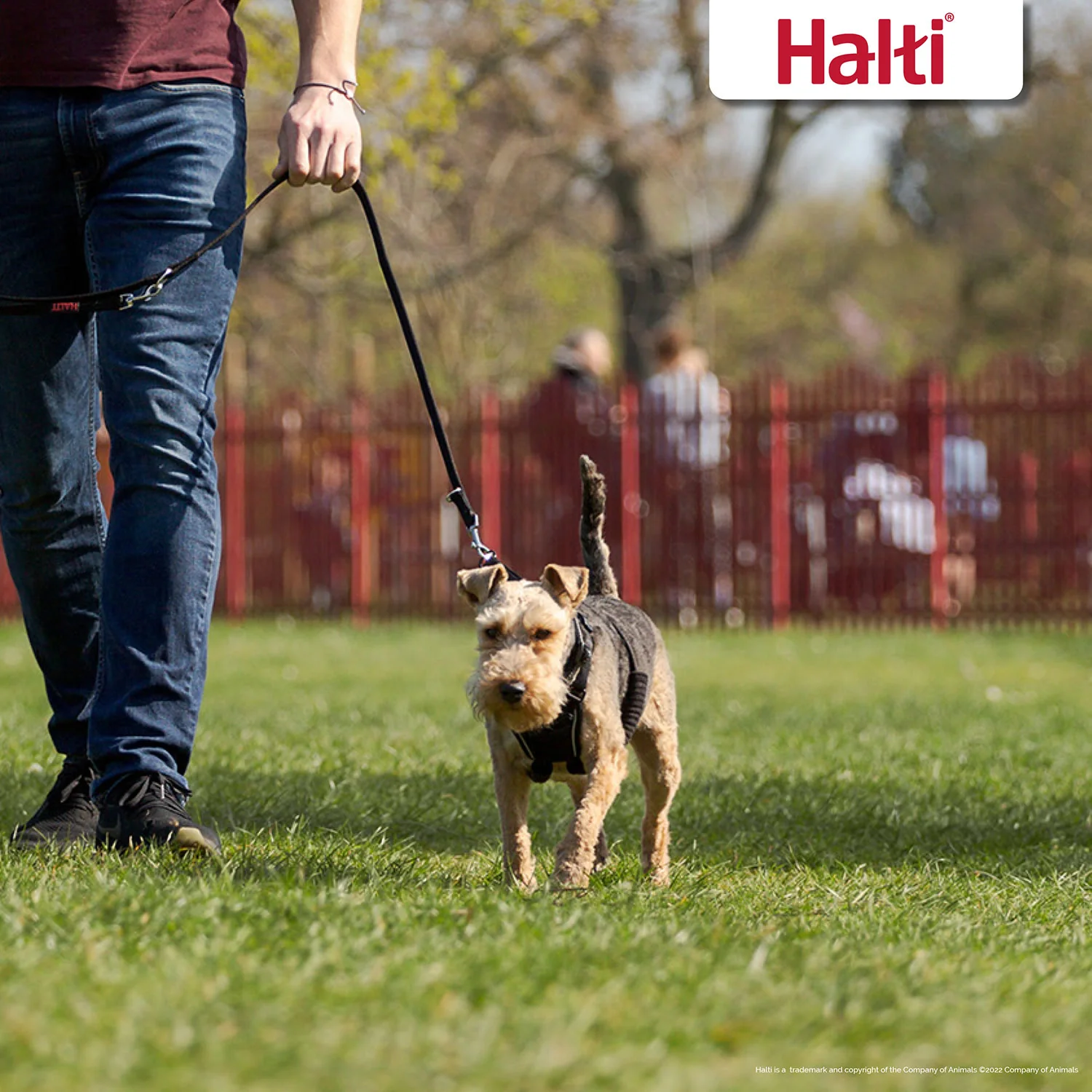 HALTI No Pull Harness - Image 2