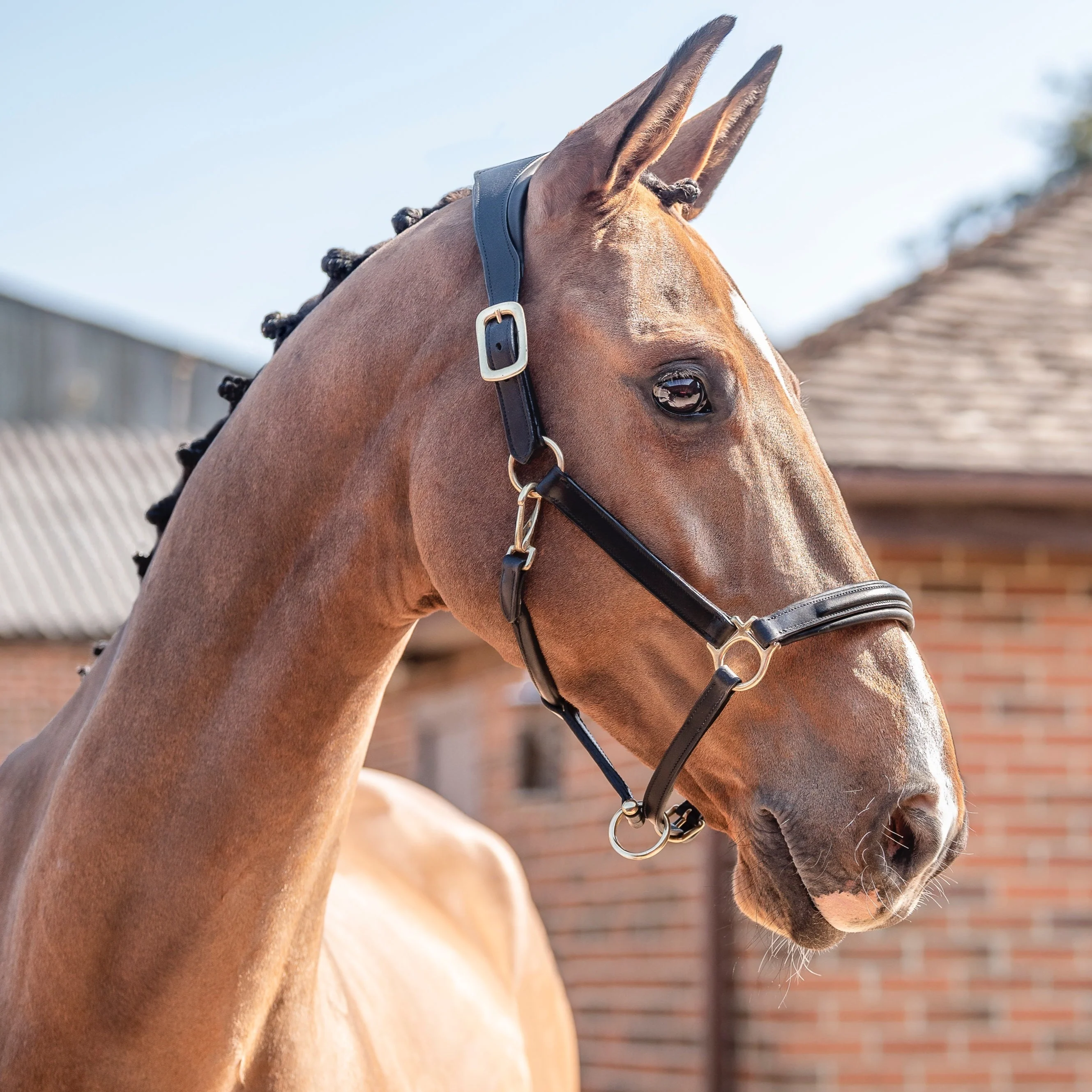 Henry James Comfort 3D Air Headcollar - Image 3