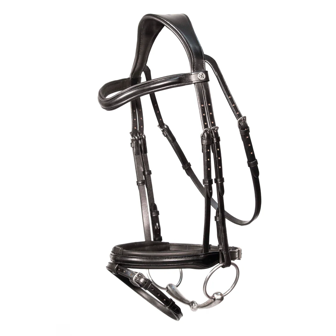 Henry James Comfort Flash Bridle