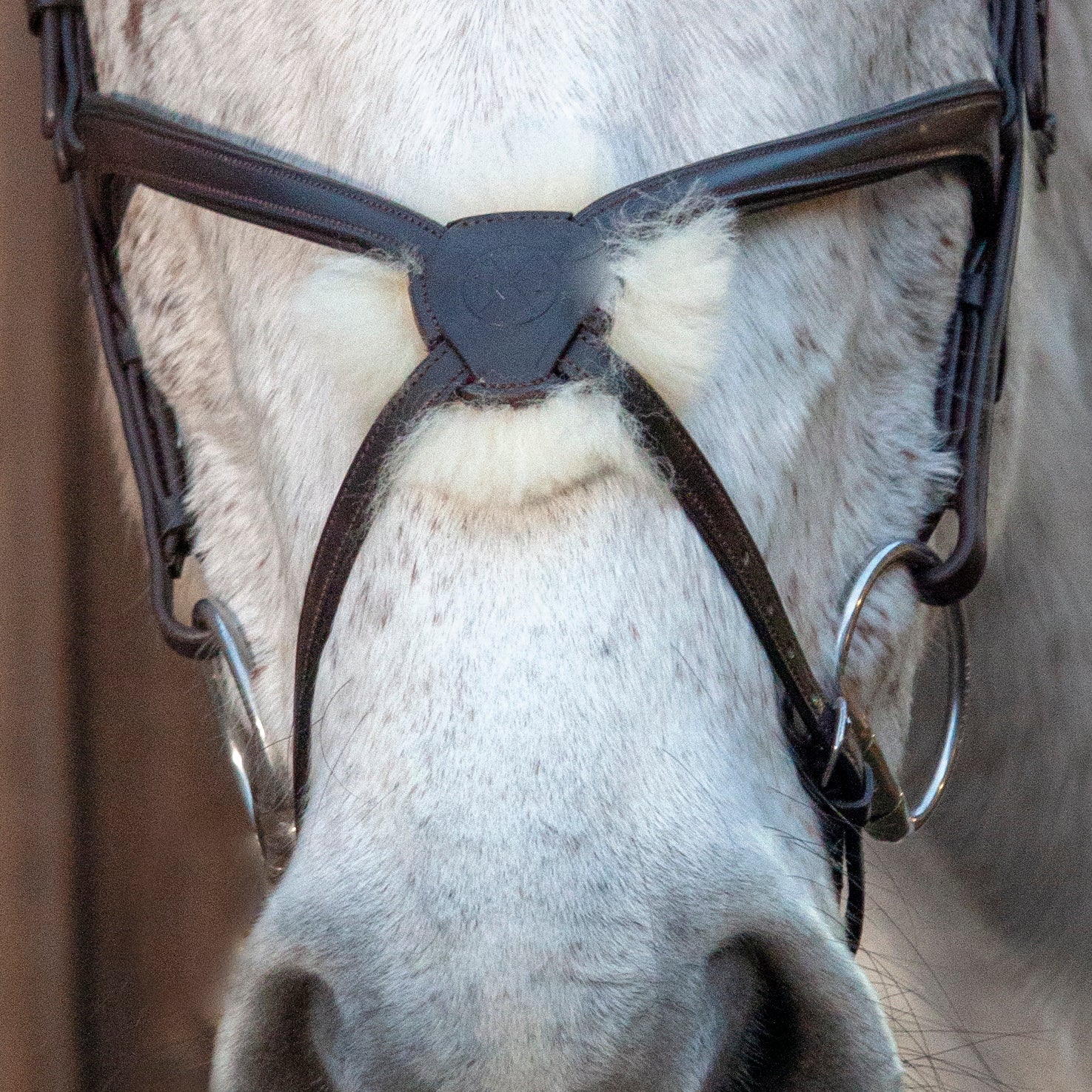 Henry James Figure 8 Sheepskin Grackle Noseband - Image 2