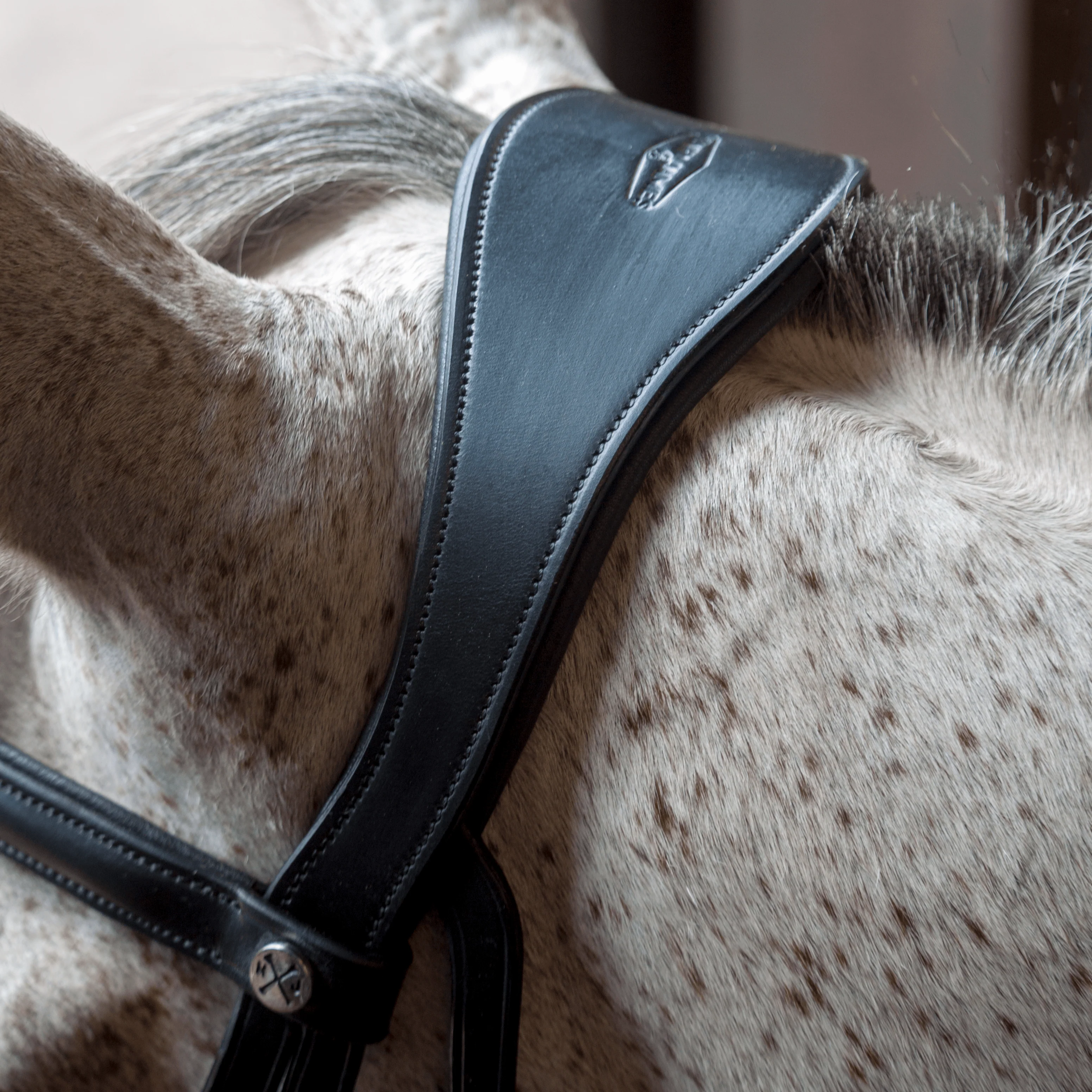 Henry James Grackle Bridle - Image 3