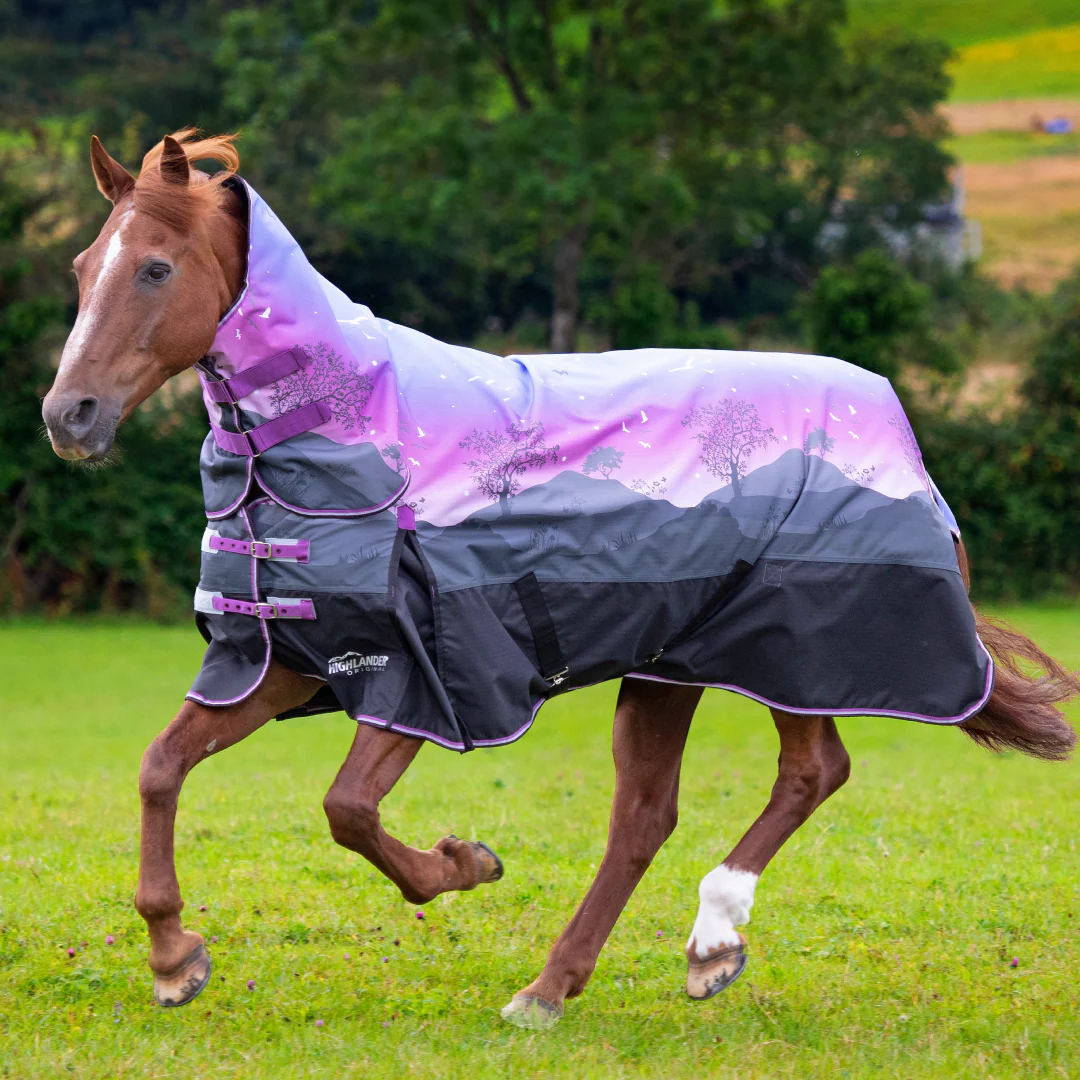 Shires Highlander Original 100g Combo Turnout Rug - Image 5