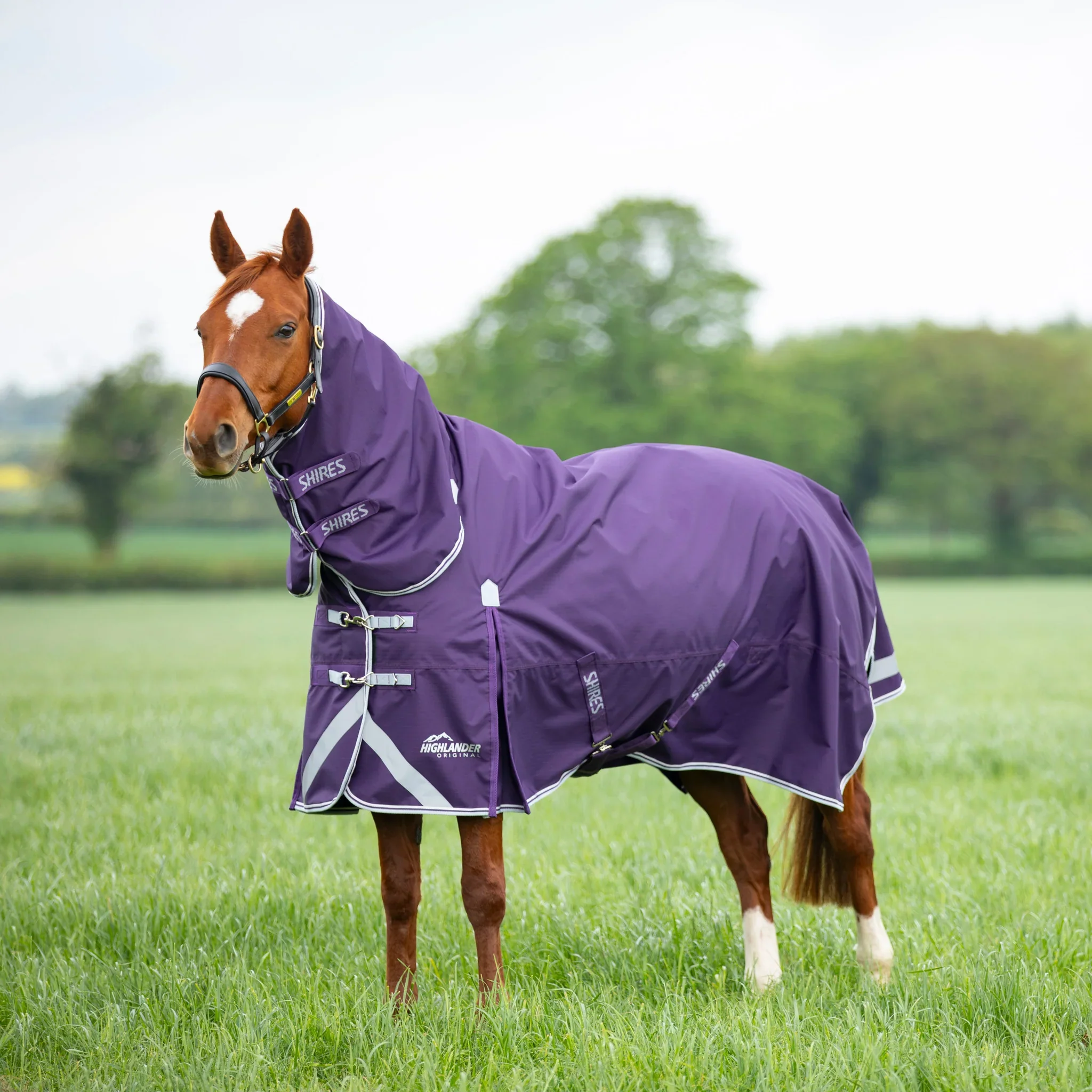 Shires Highlander Original 100g Combo Turnout Rug - Image 8