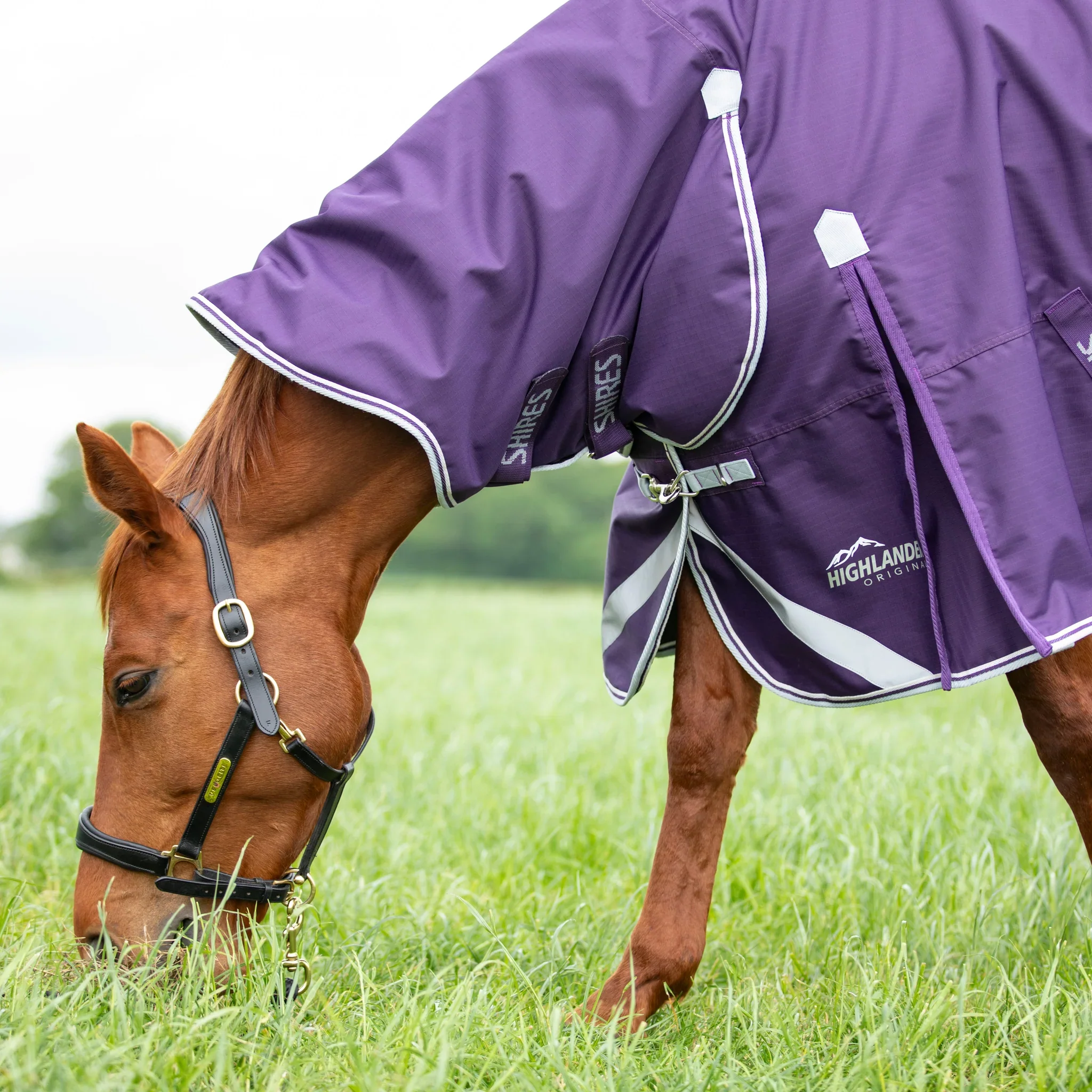 Shires Highlander Original 100g Combo Turnout Rug - Image 9